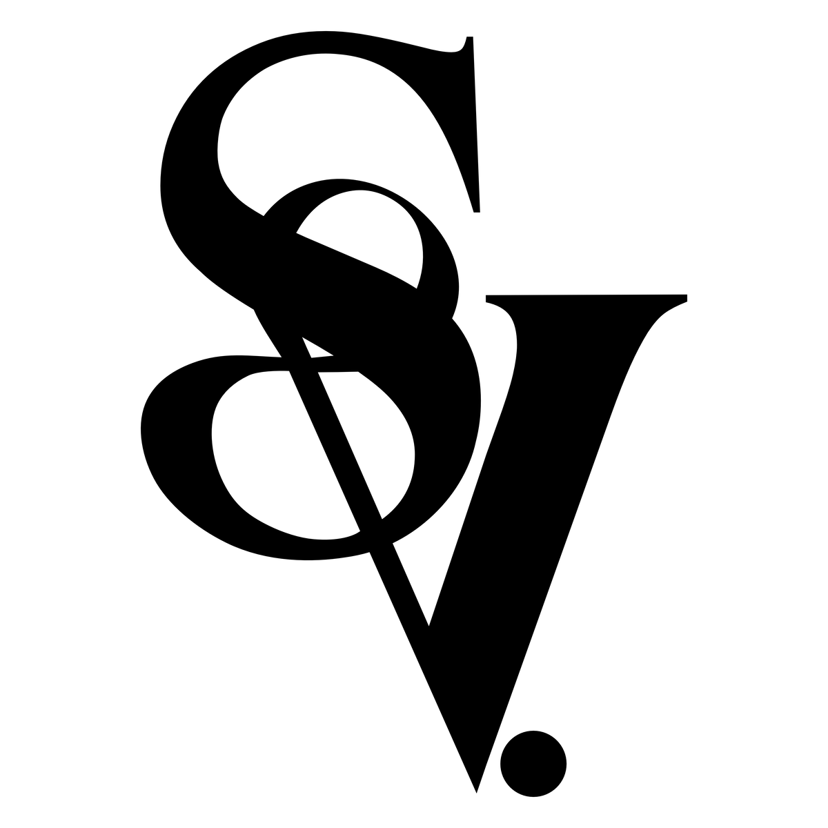 SV Customisation Add-On
